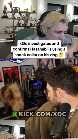 💀 that's crazy #xqc #hasanabi #animals #dogs #doakes 