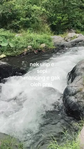 guss e mpon free,monggo sik ajeng ngipo mancing #fyppppppppppppppppppppppp #xybca #mancing #mancingliar #mytripmyadventure 