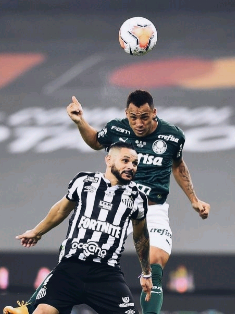 libertadores 2020 #palmeiras #libertadores #libertadores2020 #futebol #edit 