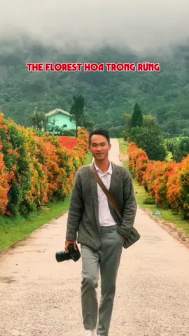 Mọi người đã đi chụp ảnh ở đây chưa ? #tiendalat #dalat #thochupanhdalat #rongchoidalatgroup #dalatstory 