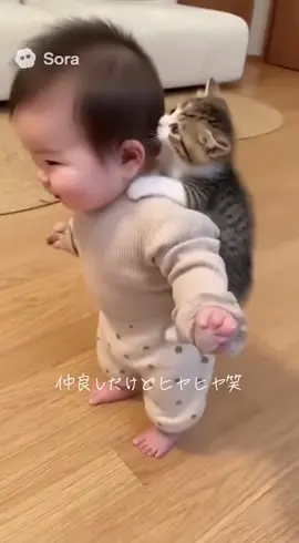 いつまでか仲良くね #メロ秋投稿キャンペーン #赤ちゃんのいる生活 #猫のいる暮らし #犬のいる生活 