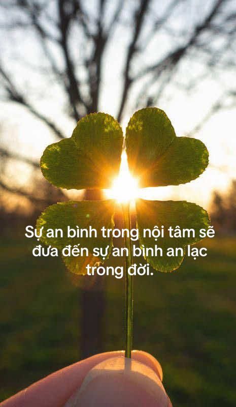 Sự an bình trong nội tâm sẽ đưa đến sự an bình an lạc trong đời. #phatphap #tritue #tutap #tubi #anlac 