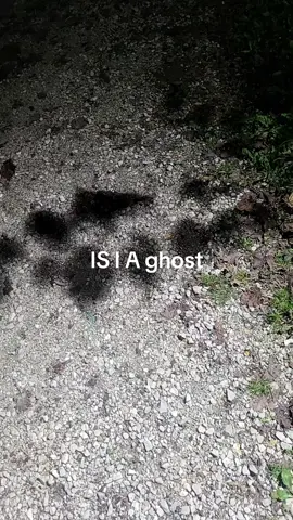 #Redneck #Wisconsin #is #Paranormal 
