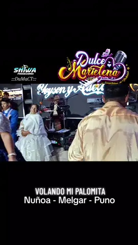 VOLANDO MI PALOMITA #dulcemarielena #LIVEIncentiveProgram #LIVECareer #PaidPartnership #musicasureña🇧🇴🇵🇪 