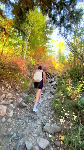 Don’t forget to enjoy the now #fall #utah 