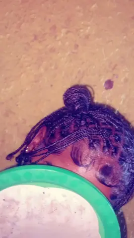 $2500#jamaicahairstyle #backtoschoolhairstyles 