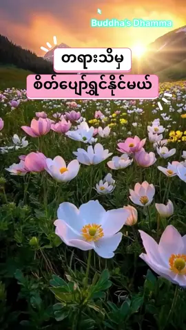 တရားအသိဖြင့်ထာဝရငြိမ်းချမ်းမှုရကြပါစေ#creatorsearchinsights #buddha #တရားတော်များ #ပါချုပ်ဆရာတော်ဘုရားကြီး၏အဆုံးအမ #foryoupage 