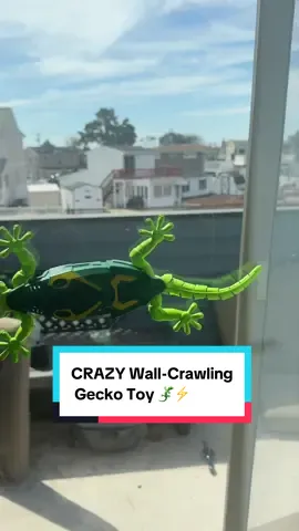 This remote control wall-crawling gecko toy is INSANE! It moves 360°, lights up, and actually climbs smooth surfaces 😱 Perfect for kids who love reptiles or gadgets 🦎✨  #HolidayGift #MomFinds #ToyTok #STEMToys #remotecontroltoy 