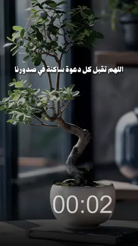 اللهم امين #القارئ_حمزه_بوديب #صلوا_على_النبي #اكثروا_من_الاستغفار #اللهم_صلي_على_نبينا_محمد #استغفرالله_العظيم_واتوب_اليه 