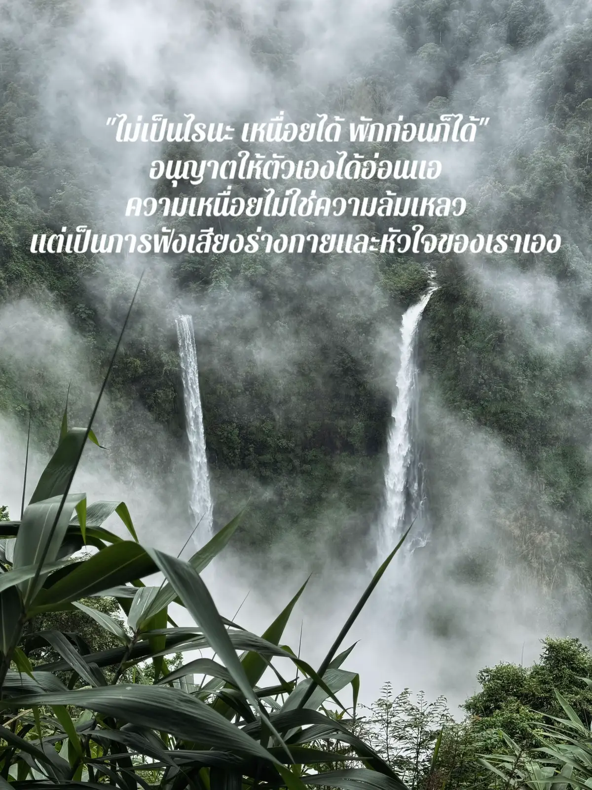 #เที่ยวฮีลใจ #ธรรมชาติบําบัด #หลงรักธรรมชาติ #รักป่ารักเขา #สตอรี่เพลง 
