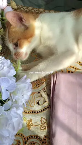 #fyp #hijab #jersey #pashmina #affiliate 