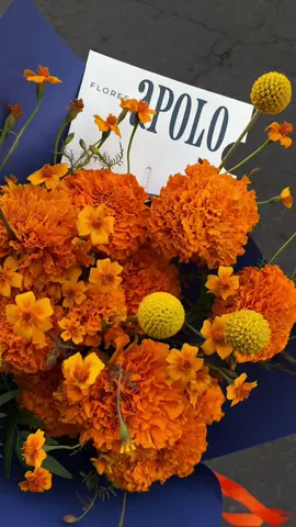 Las craspedias son una de las flores que más he utilizado desde que empecé en este mundo floral. Me parecen muy interesantes y siento que no muchas personas las conocen. Me parecieron perfectas para este ramo de cempasúchil aprovechando la temporada. ¿Tú ya conocías a las craspedias? #cempasuchil #craspedia #floresapolo #floreria #florista 