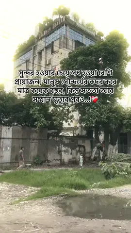 সুন্দর হওয়ার চেয়ে সৎ হওয়া বেশি প্রয়োজন, মানুষ সৌন্দর্যের কদর করে মাত্র কয়েক বছর, কিন্তু সততা আর সম্মান মৃত্যুর পরও..!❤️‍🩹#foryou #videoviral #bdtiktokofficial #creatorsearchinsights #fyp 