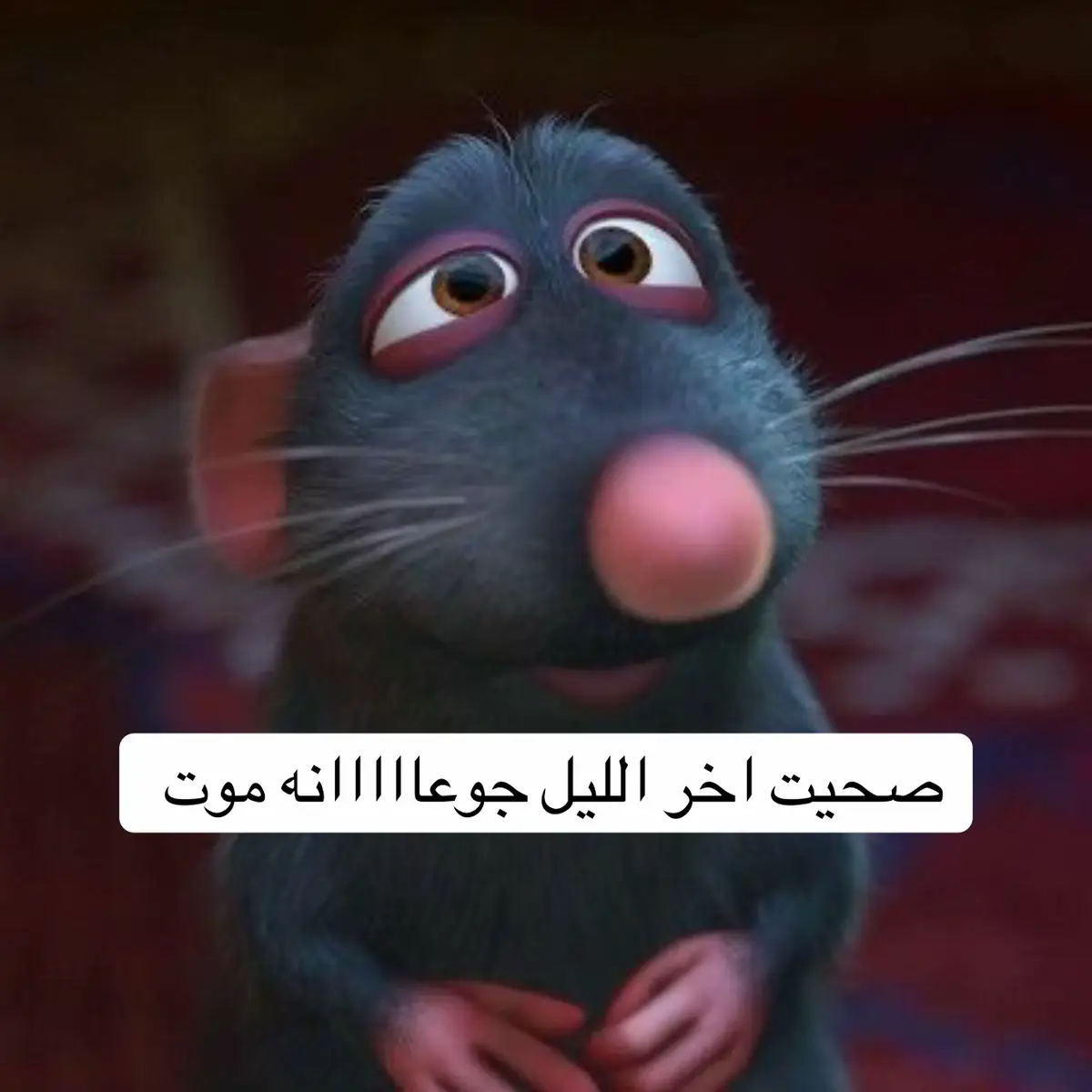 #شات_جي_بي_تي#وصفات#مالي_خلق_احط_هاشتاقات #طبخاتي #الشعب_الصيني_ماله_حل😂😂 