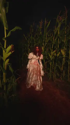 Dam I barely survive inside the corn maze in @Bella Organic Farm  #pdx #portland #oregon #pnw #halloween 
