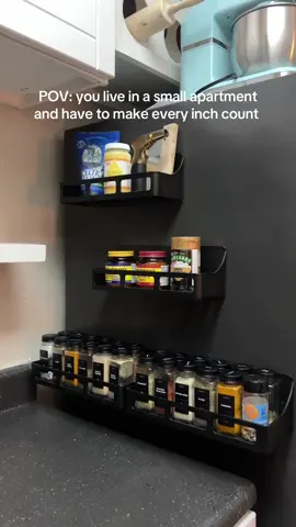 I’ve used these for over 3 years and I stand by them 🫡 #smallapartment #hack #storagehacks #apartmentdecor 