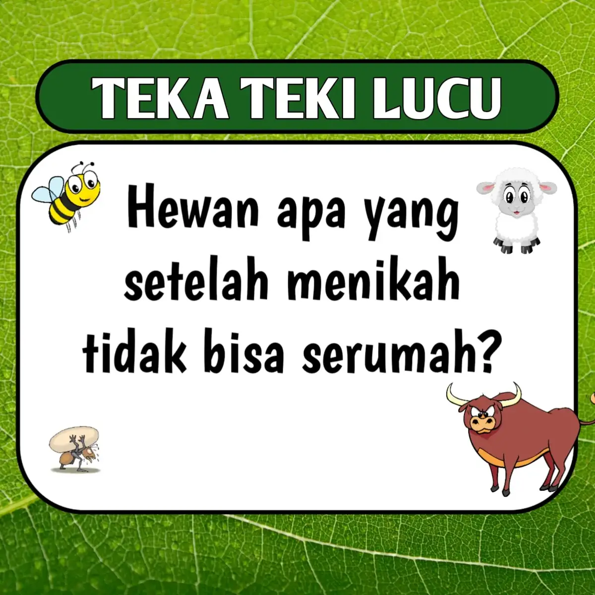 Terdapat 12 teka teki lucu dan jawabannya. semoga terhibur. Terima kasih #tekateki #tekatekilucu #tekatekikocak #tekatekisulit #tebaktebakan 