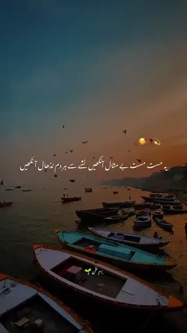 دراز پلکیں غزال آنکھیں ، مصوّری کا کمال آنکھیں #followers➕ #foryoupage❤️❤️ #Lahore #urdupoetry #لاہور 