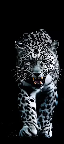 #leopard #livewallpaper #livewallpaper4k #4kUltra #4klivewallpaper #livewallpaper8K #wallpaper #wallpaperanimado #wallpapers #5dlivewallpaper #zhivyye_oboi #خلفيةحية #動態壁紙 #wallpaperhidup4k #壁紙4k #живыеобоинателефон #живыеобои4k #creatorsearchinsights2026 #IPhone17pro #wallpaperlive #hìnhnềnsống #mukbangasmr #creatorsearchinsights2025 #MobileWallpaper #120fps #PhoneWallpaper #fonddécrananimé 