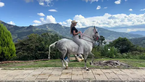 Platearo es 😍  #caballocriollocolombiano #caballoscolombia #mujerescaballistas #equinos🐴 #caballoparqueado 