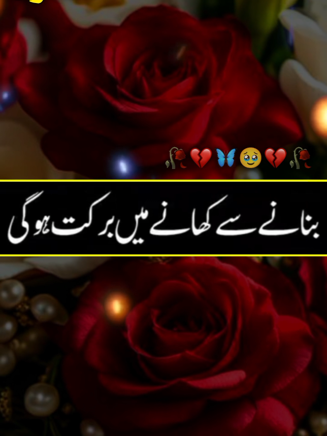 ❥͜͡𝐌𝐮𝐞𝐞𝐧⍟𝐖𝐫𝐢𝐭𝐞𝐫𝐬☙#furyou❥ #pfypシ #furyoupage #furyoupage #vairalvideo 