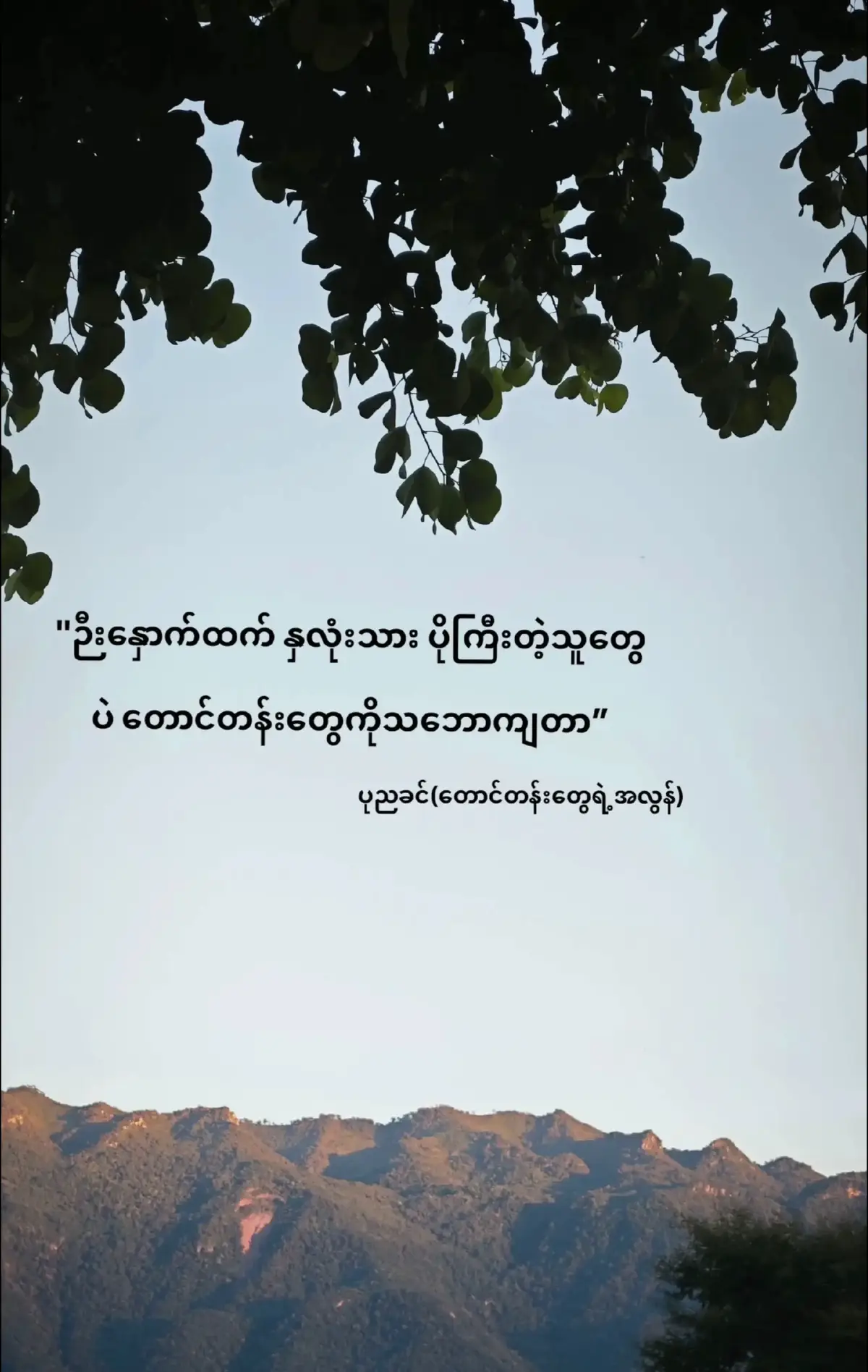 ဘဝမှာလဲ နှစ်လုံးသားကို ဦစားပေးမိတာ များလို့ ဒီခါတော့.....  
