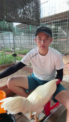 Em nó lên lớp ở Trâm Dồ ..#gaubentre 