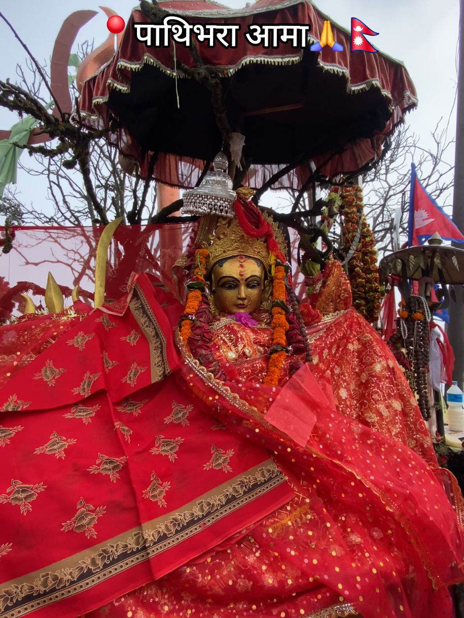 thank you for calling aama🙏❤️💯 #fypシ゚ #pathibharamata #taplejung #blessed #nepal 🇳🇵