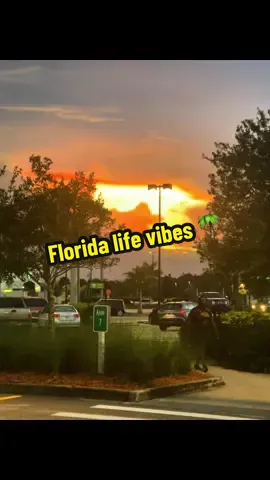 Past couple of days. ❤️ #florida #floridalife #newlife #floridagirl #life 