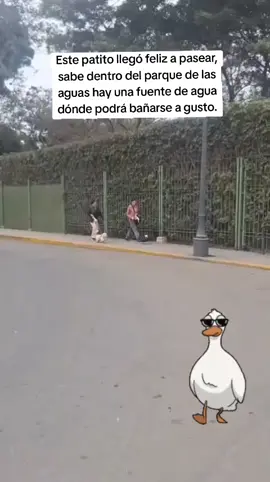 #pato ,#perro ,#paseo ,#paratiii 