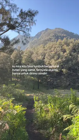 karena bahkan untuk menopang diriku sendiripun, akarku belum mampu #arjuno #arjunowelirang #fyp #pendaki 