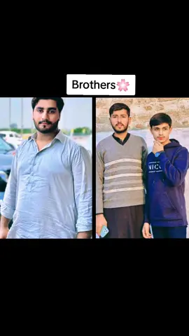 #Wacho_ak_jay_sara_ni_honda#foryou #fyp #1M@wolfzz  #pindalyJATT🇨🇦🇬🇧 @Zohaib Chadhar @Muhammad Yahya 