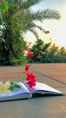 گزرے لمحے کتاب جیسے ہیں کھلیں تو خوشبو، بند ہوں تو یاد بن جائیں۔✨🕊️❤️‍🩹👀💫#views #meh_alee #fypシ゚ #support_me #unfreezemyacount 