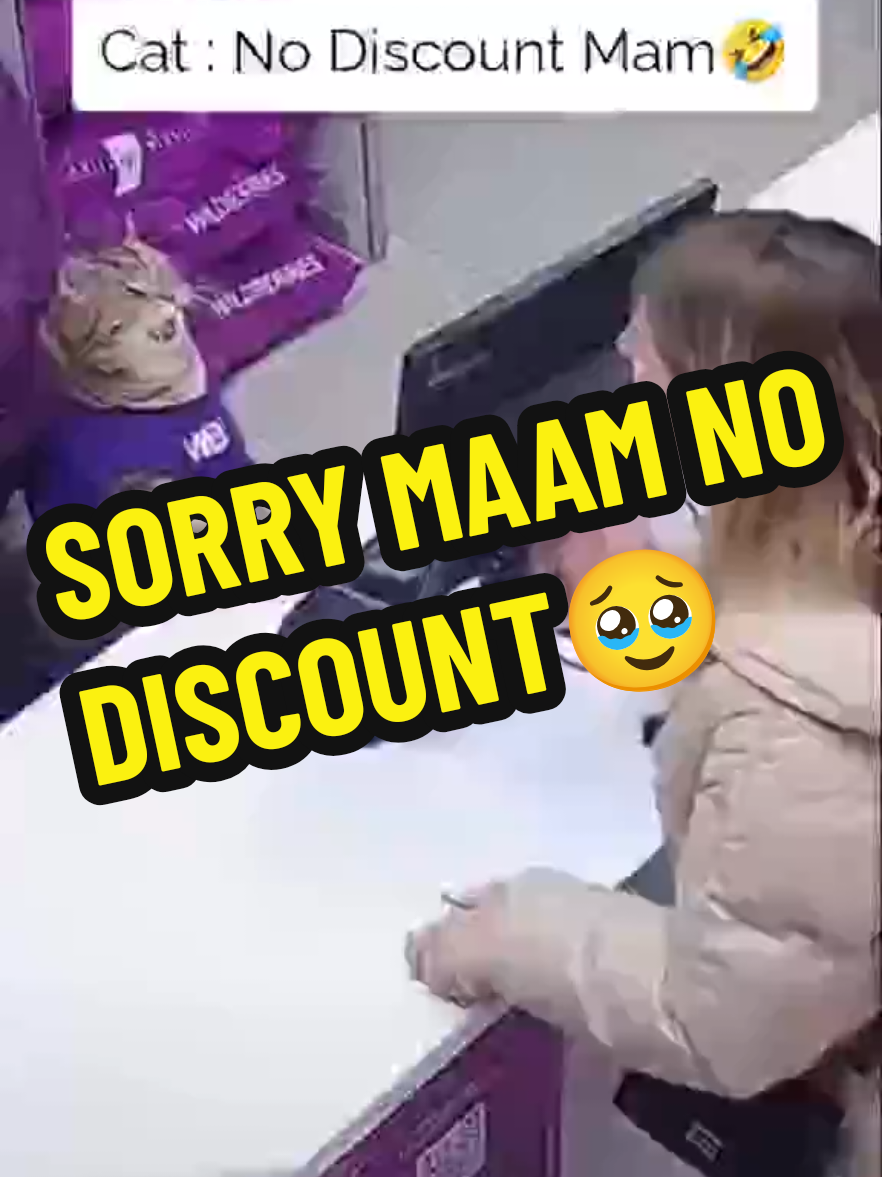 When cats being cashier be like 😼😿 #catcashier   #kucinglucu #catfypシ #funnycats #lawakkucing 