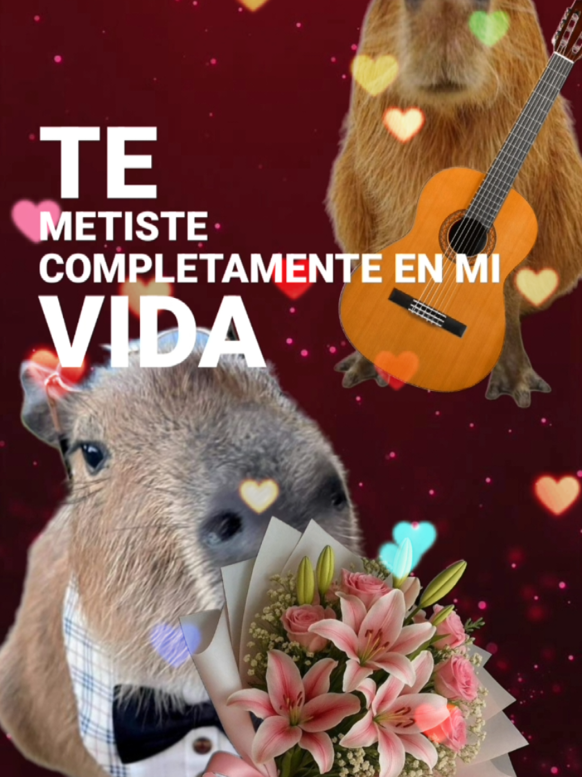 te metiste - Ariel Camacho y los Plebes del rancho ❤️ ajuuuaaa 🤠 temazo, rolón. que buena canción dedicada a todos los enamorados del mundo💕 #arielcamacho #regionalmexicano #rancheras #romantico #letradecanciones 