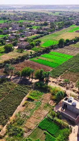 اصبحنا واصبح الملك لله  صباح الخير 