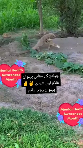 چلیں گی مقابلہ 
