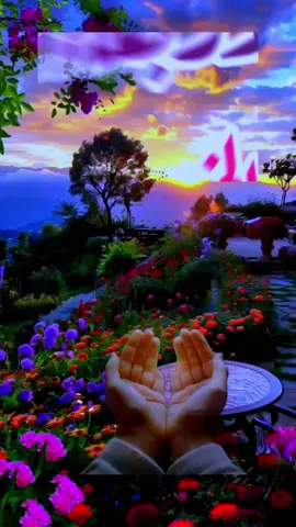 صباح يوم الأربعاء 🤍🤲 #صباحكم #صباح #صباح_الخير #صباح_الورد #🤲🌺🌹🌼🍂🌞 