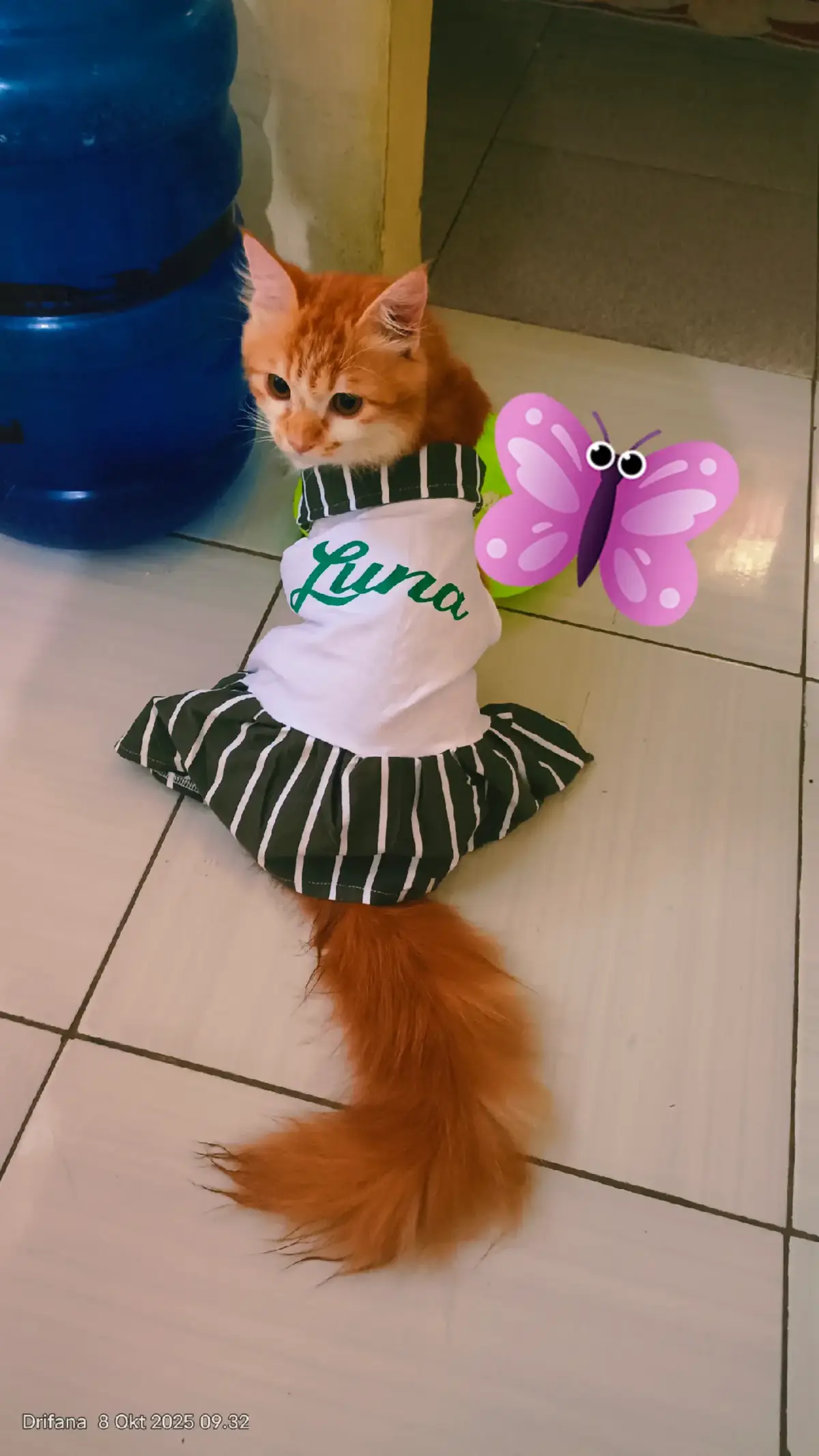 Sehat terus ya nak jangan sakit sakit ya, doakan mommy and daddy sehat selalu di lancarkan Rezki biar Luna bisa makan ikan dan ayam tiap hari  love you LUNA