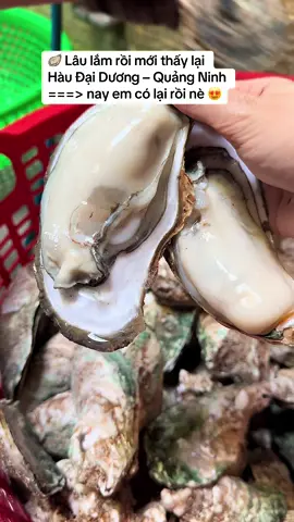 🦪 Hàu Đại Dương cập bến nha mọi người ơiii 🌊 Lâu lắm rồi mới thấy lại em nó 😍. #haisankimnguyen_q6 #xuhuongtiktokk #hàu_đại_dương #xuhuongtiktok #haisantuoisong 