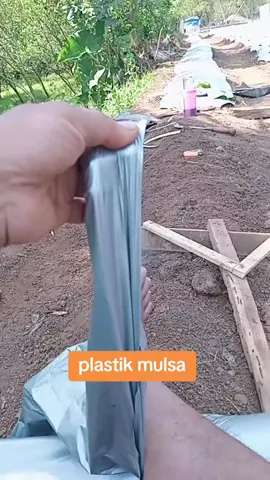 Mulsa hitam perak lebar 80 cm  #plastik  #plastikmulsa 