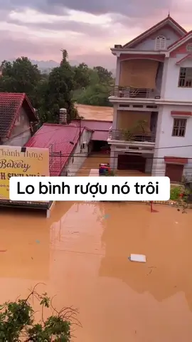 Tiếc cái bình rượu thôi#TikTokAwardsVN ##hoanghuong #capcat 