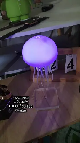 #สินค้าขายดีในtiktok 