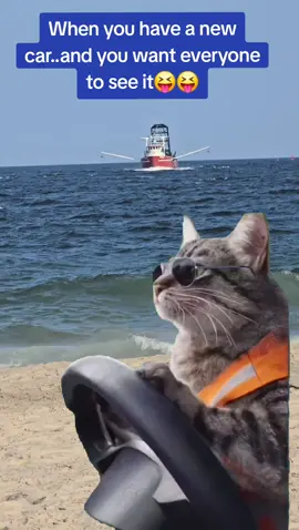 #CapCut 