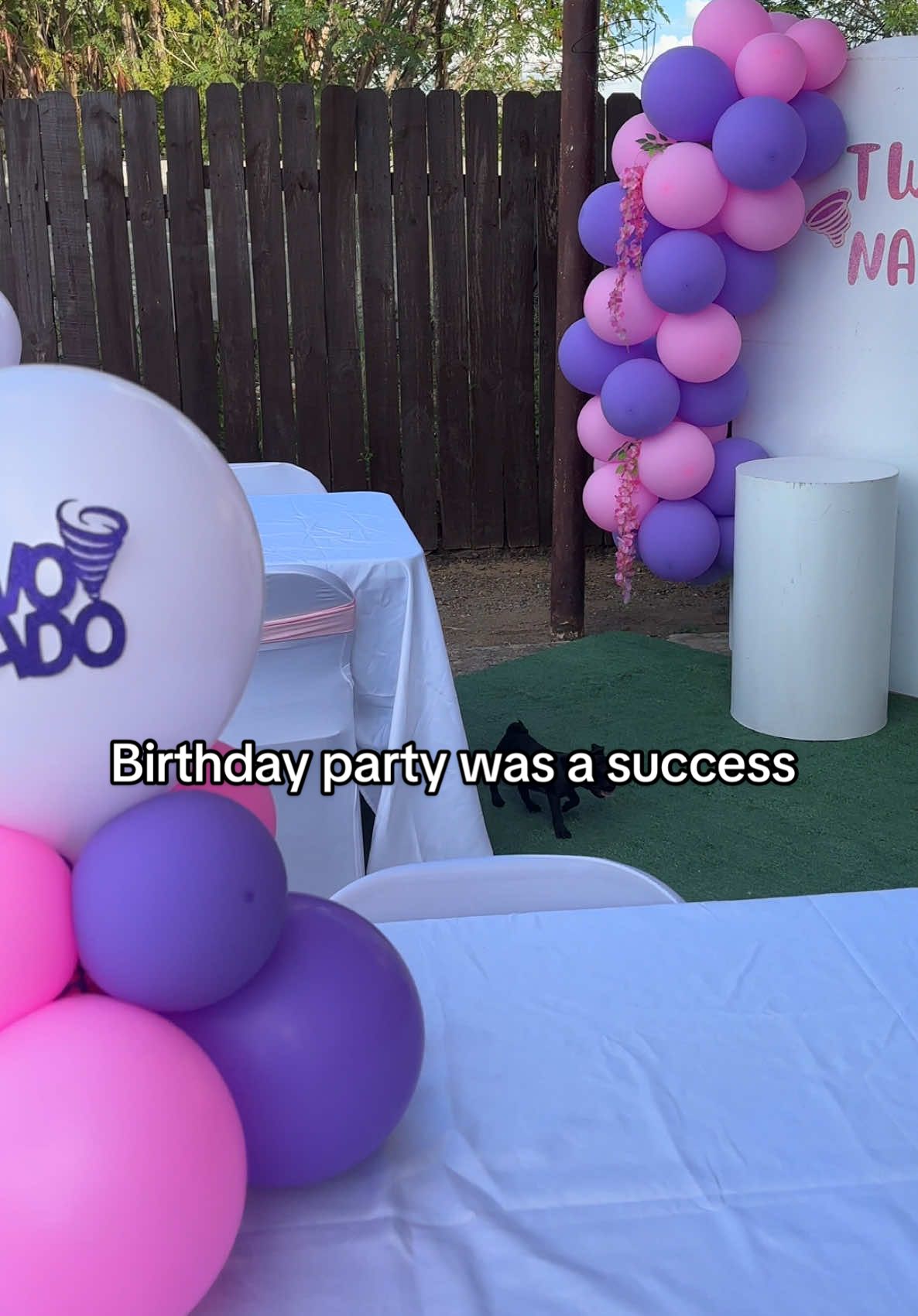 First time hosting at our house🥹💕 #birthdayparty #twonadobirthday #yardreset 