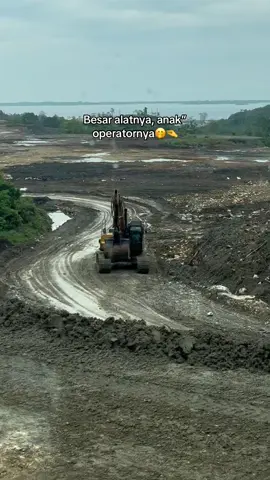 Banyak di #sulawesi #operator_excavator #fyp 