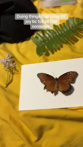 I also have a cicada and dragonfly to do next !!! 👀✨🤗 #brokenbutbeautiful  #butterflypreservation #killemkhaos #divinefemininerising #virgoenergy 