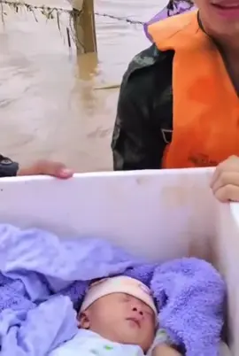 Thương con quá🥺 #baolu #tinnong24h #TikTokAwardsVN #baolumienbac #baolutmientrung 