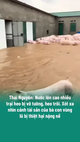 Cầu mong nước rút nhanh để người dân bớt khổ, quá tội cả nhà ạ #TikTokAwardsVN #vivumuasam #xuhuongtiktok #tiktokviral #popsww 
