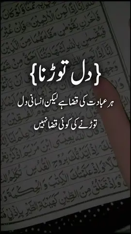 #unfreezemyacount #fyp #foryourpage #unfreezemyacount #growmyaccount @Zameen_zadi5@𝐈𝐒𝐋𝐀𝐌𝐈𝐂_𝐕𝐄𝐃𝐈𝐎🕋🫀 @TikTok LIVE EECCA @TikTok Creator Academy @pakistan tiktok official @TikTok 